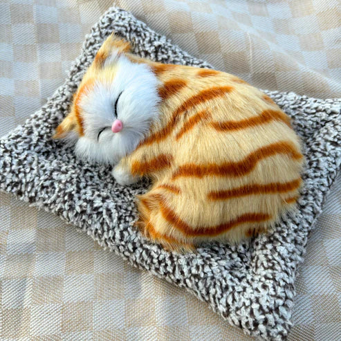 Sleeping Cat On Bed